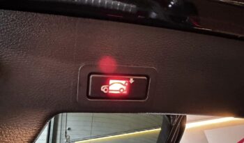 
									BMW X6 xDrive30d full								