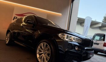 
									BMW X6 xDrive30d Sport Activity Coupe full								